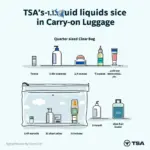 TSA Liquids 3-1-1 Rule Illustration