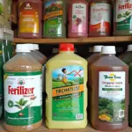 Different Types of Fertilizer Available in Hanoi