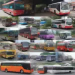 Variety of buses in Vietnam