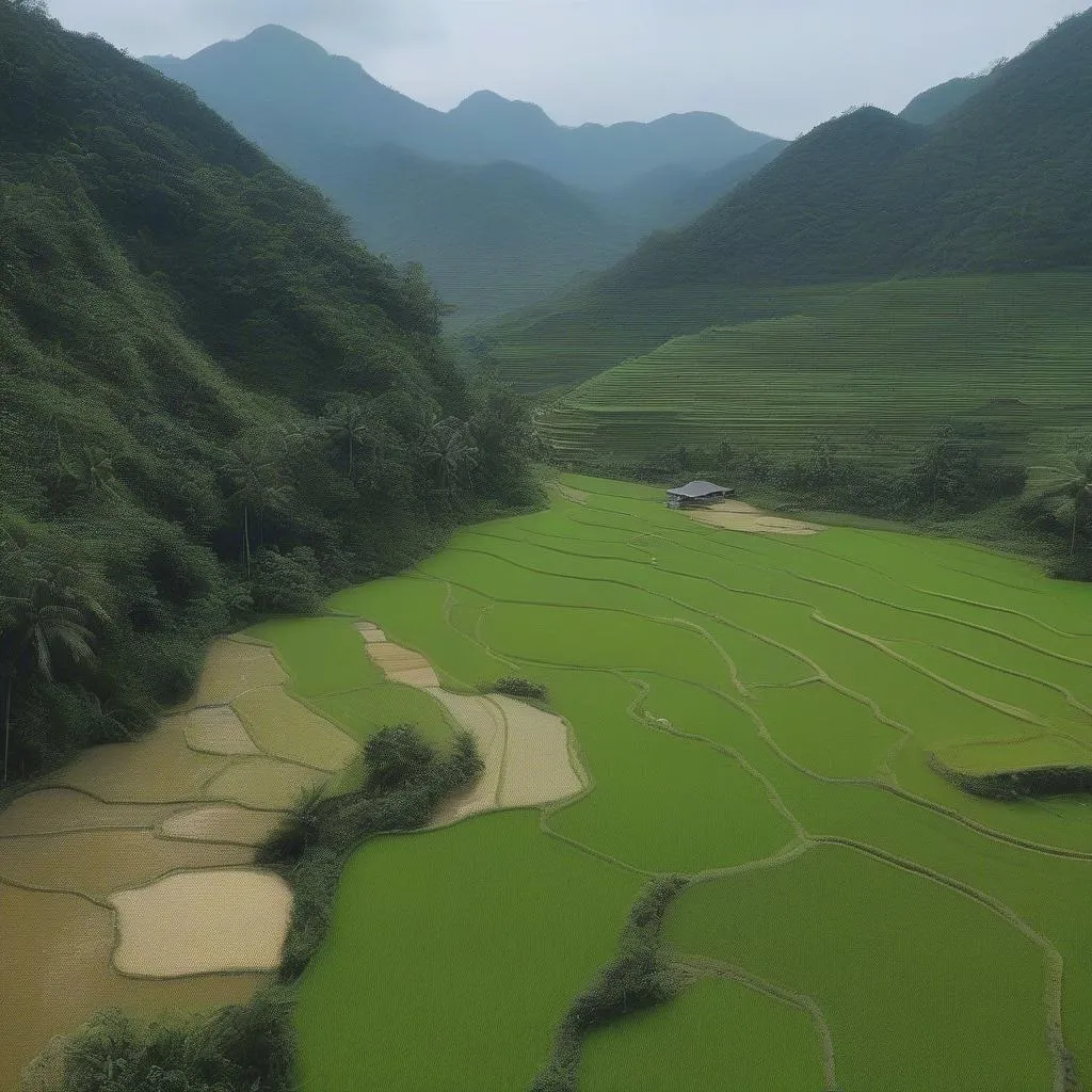 Vietnam coastal road