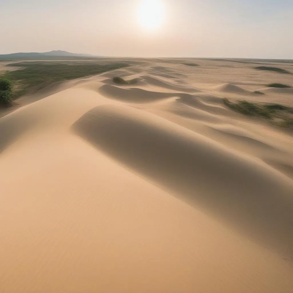 White Sand Dunes Mui Ne