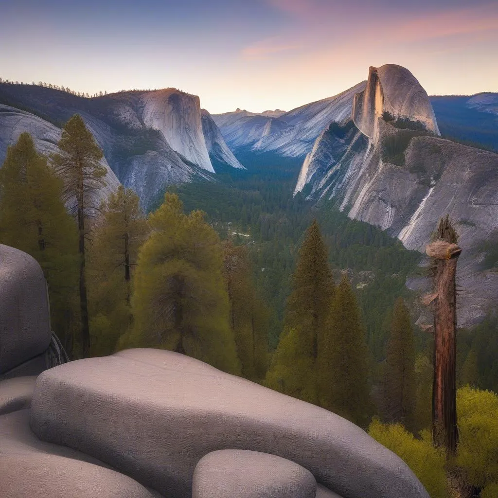 Half Dome View