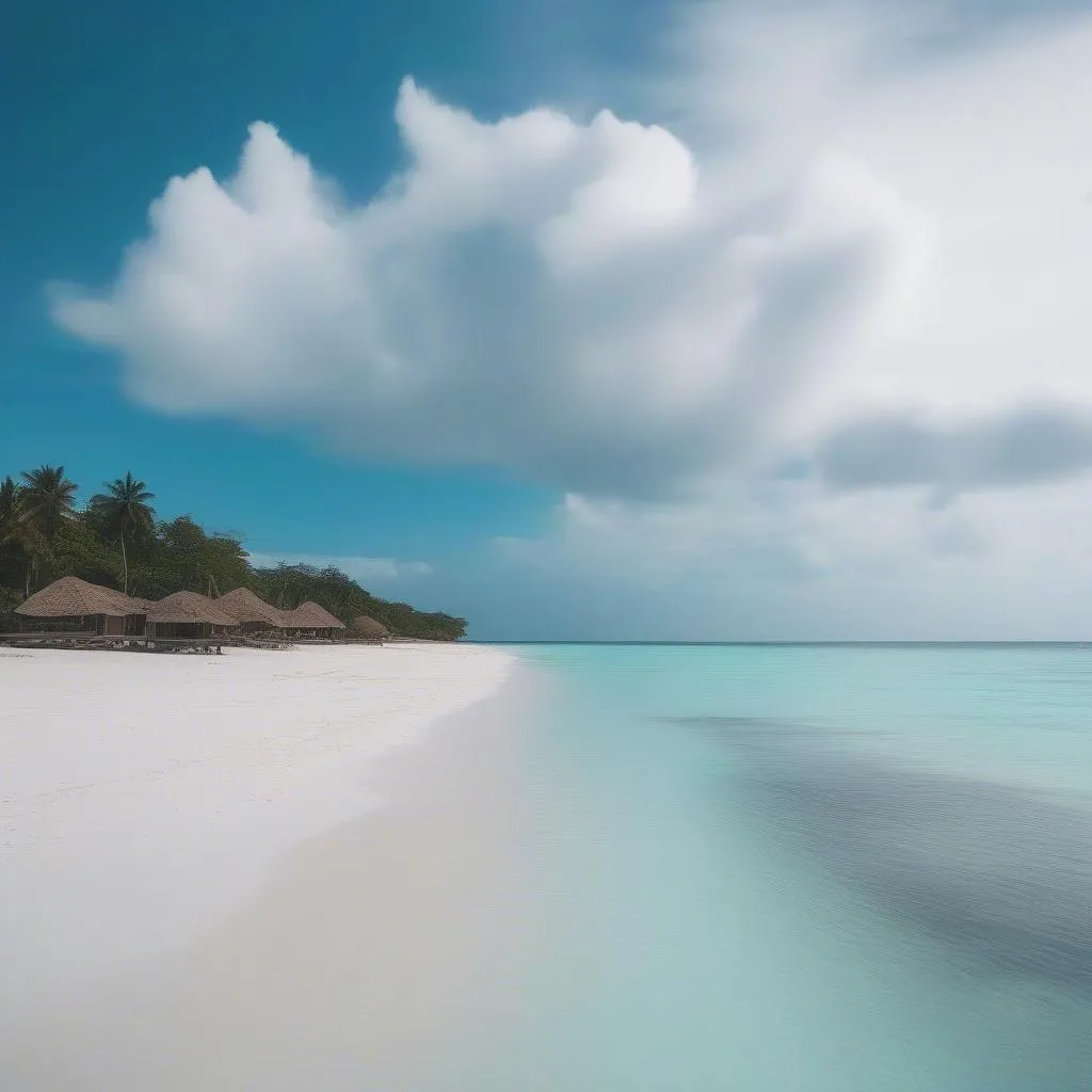 Zanzibar Beach