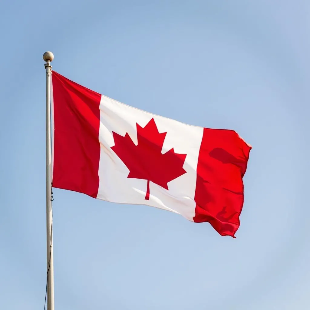 Canadian Flag and Maple Leaf