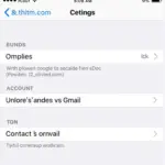 iPhone Settings Contacts Sync Gmail