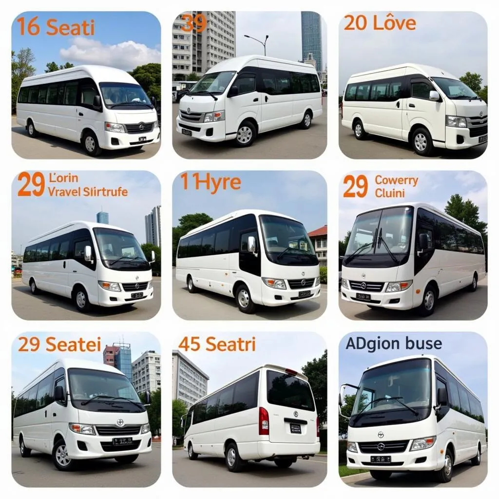 TRAVELCAR fleet in Hanoi