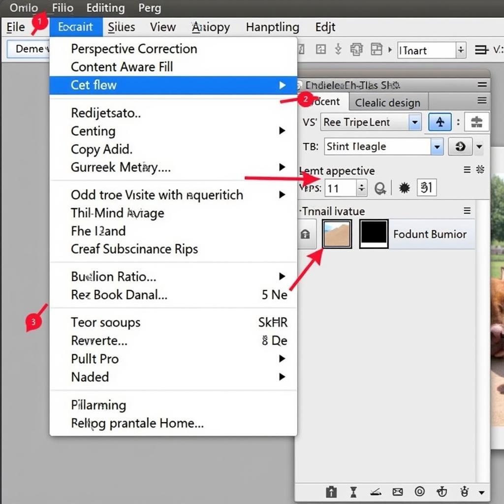 Cropping and adjusting an image with Adobe Photoshop