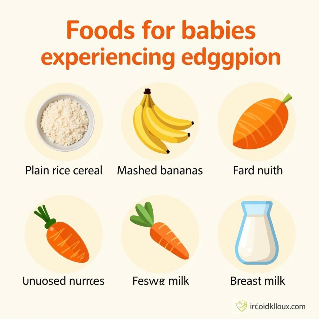 Suitable Foods for Babies with Indigestion