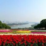 Bai Da Flower Garden: A Panoramic View