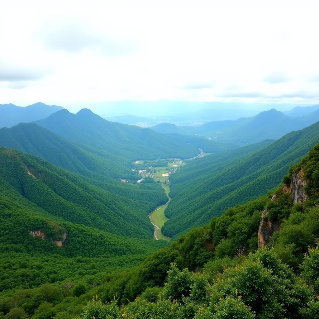 Breathtaking View from Bao Loc Pass Viewpoint