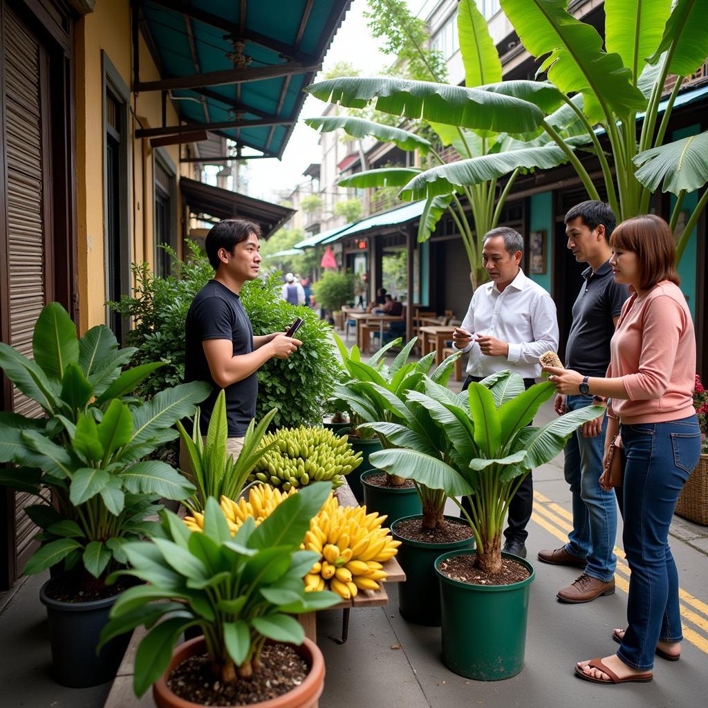 Buying Banana Saplings at a Hanoi Market