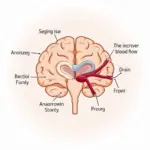 Diagram of Cerebral Ischemia