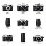 Choosing the Right Film Camera for Your Needs