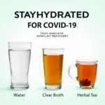 Essential Hydration Drinks for COVID-19 Recovery