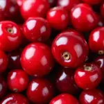 Cranberries for UTI Prevention