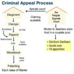 The Criminal Appeal Process in Vietnam flowchart illustrates the steps involved in appealing a criminal conviction in the Vietnamese legal system.