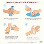 Dog bite wound care and first aid