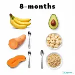 First Foods for 8-Month-Old Babies