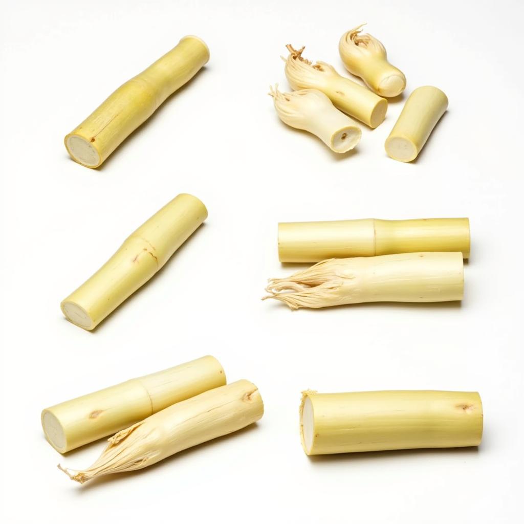 Preparing Fresh Bamboo Shoots