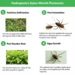 Common Problems in Hydroponic Gardening