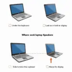 Laptop Speaker Locations: A Visual Guide