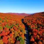 New England's vibrant fall foliage peaks in November, showcasing a breathtaking tapestry of colors.