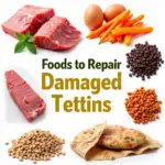 Protein-Rich Foods for Tendon Repair