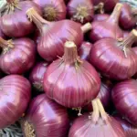 Close-up of fresh shallots, showcasing their papery skin and clustered formation