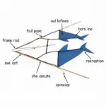 Shark Kite Components: Frame, Sail, and Bridle