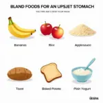 Soothing Foods for Upset Stomach