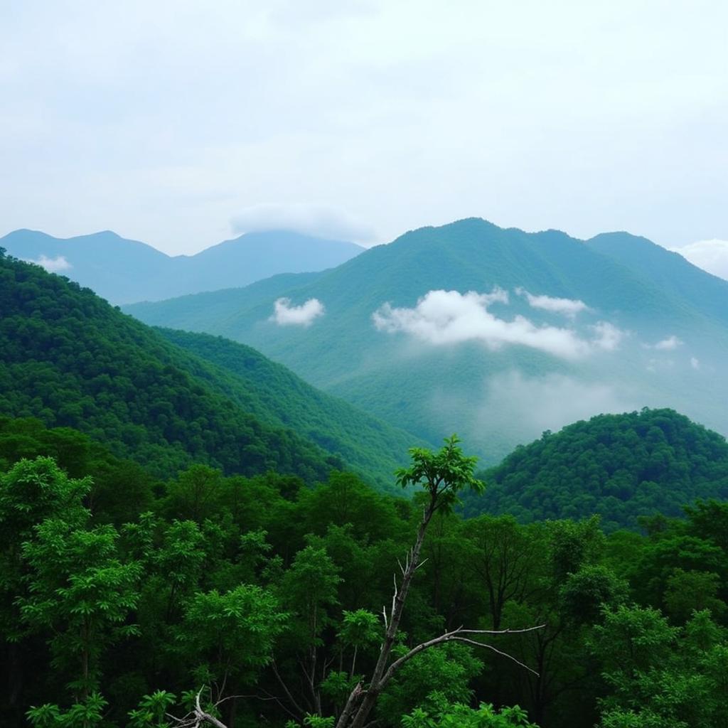 Tam Dao Mountain Range in Phu Tho