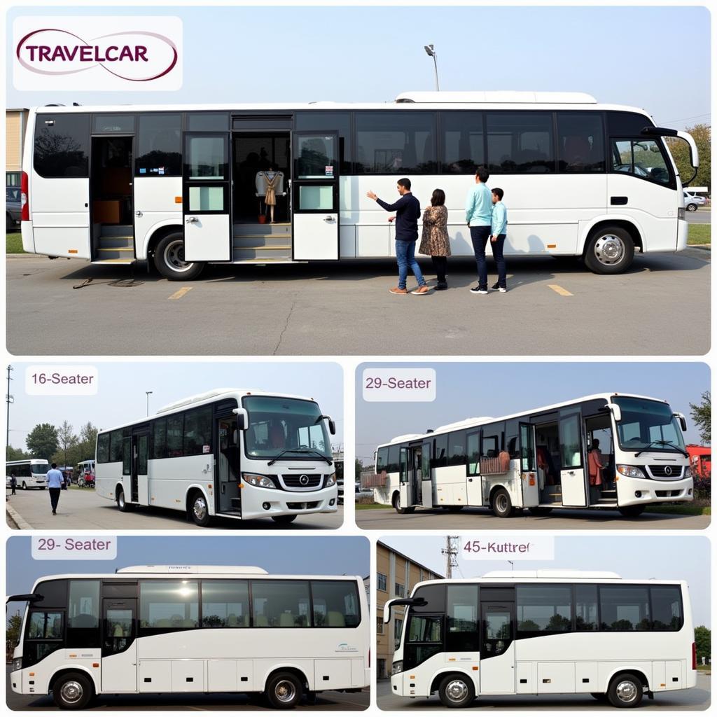 TRAVELCAR Bus Fleet