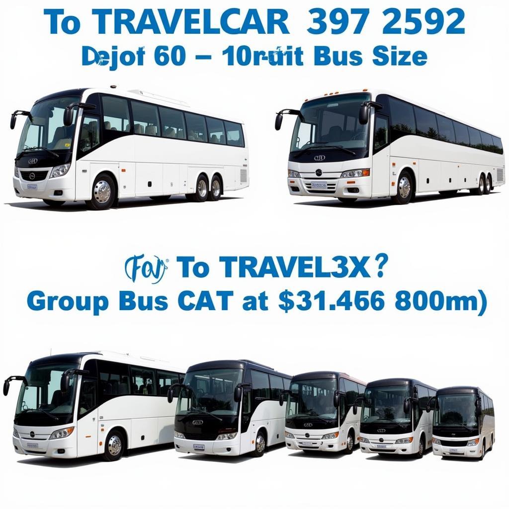 TRAVELCAR's Modern Bus Fleet - Comfortable and Reliable