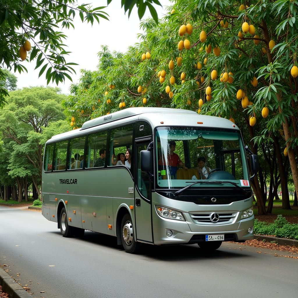 A TRAVELCAR bus parked near a Hanoi mango garden, ready to transport visitors back to the city.