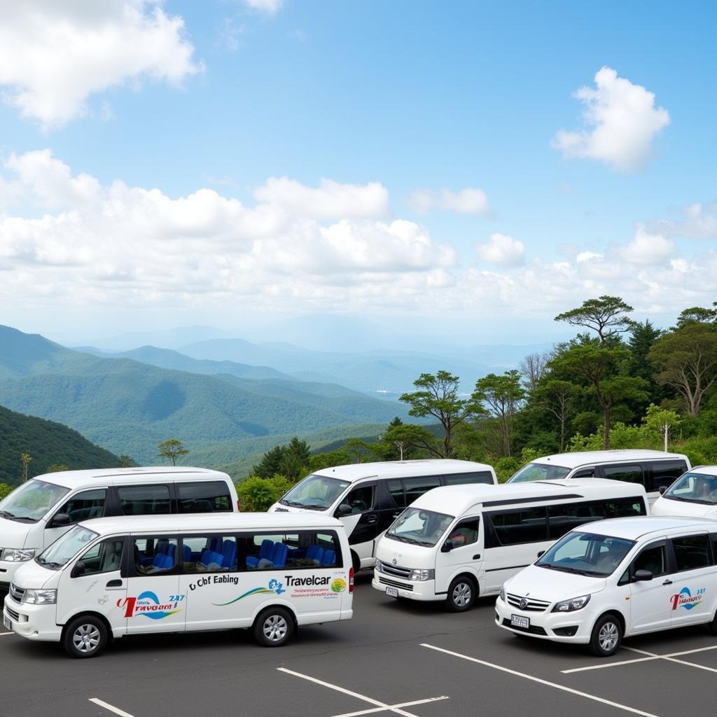 Travelcar's Fleet in Dien Bien Phu - Comfortable Travel for your Culinary Adventure