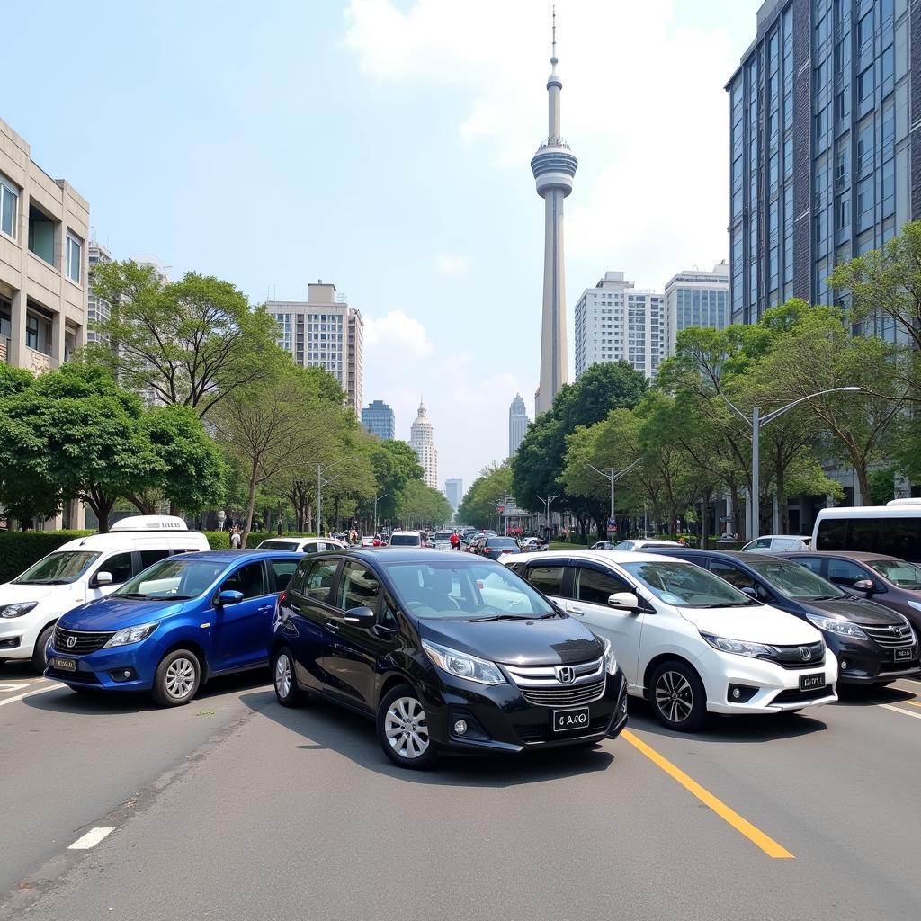 TRAVELCAR Fleet in Ho Chi Minh City