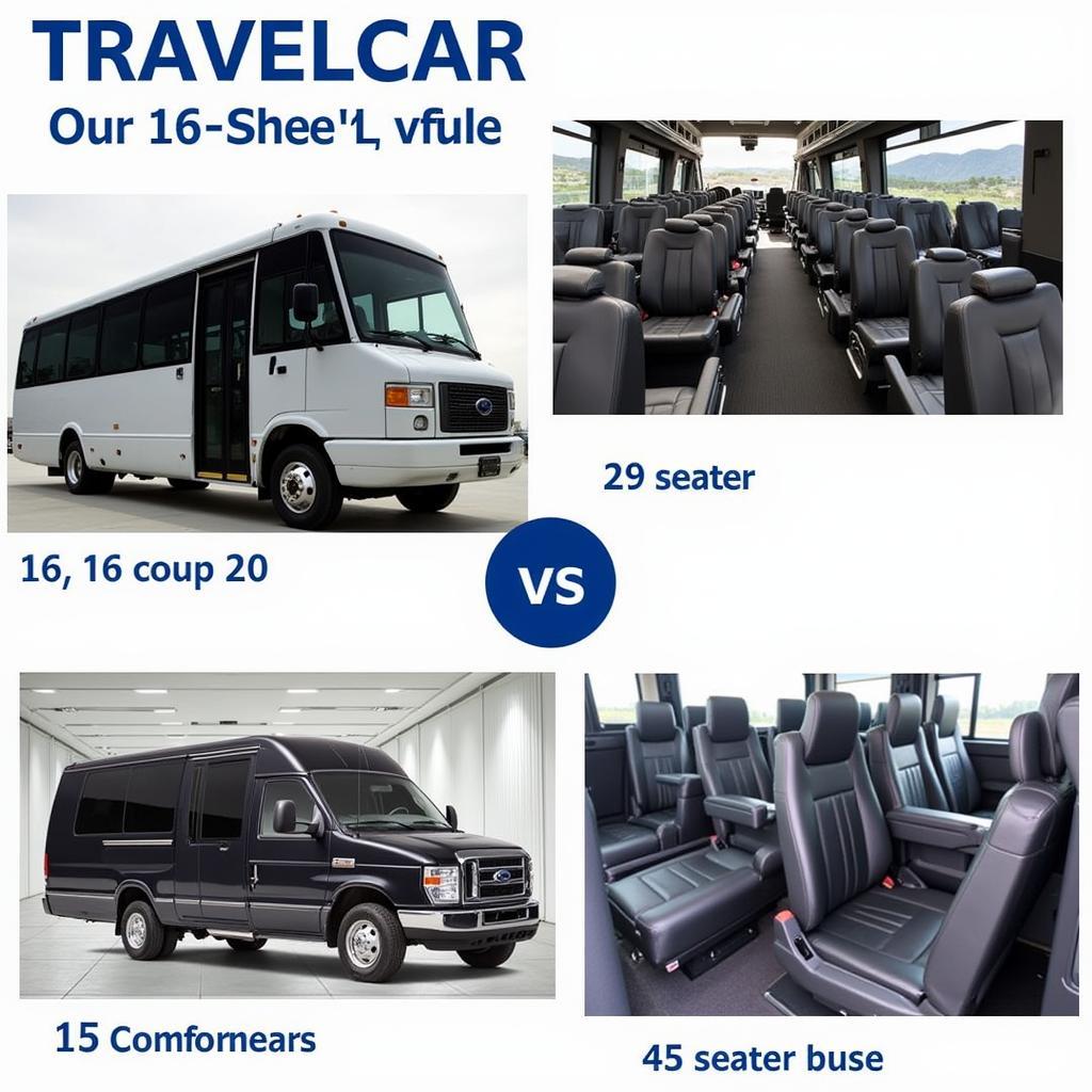 TRAVELCAR Vehicle Fleet