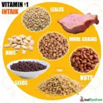 Vitamin B1 Rich Foods